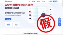 防止不法侵害，认准比特浏览器官方正版网址